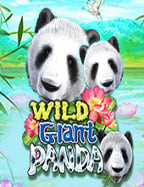 demo ยิง ปลาวิธี การ เล่น คา สิ โน ที่คุณต้องลอง